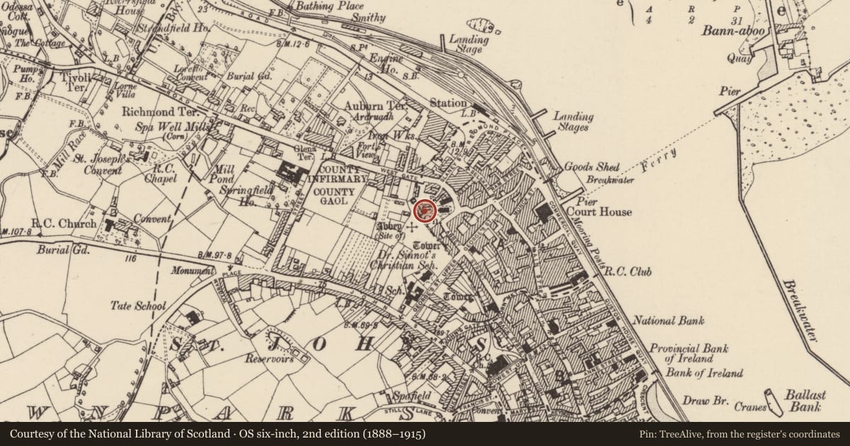 Ordnance Survey six-inch map, 2nd edition (1888–1915) covering the location of Sarcophagus, Wexford, with a pin at the register's coordinates
