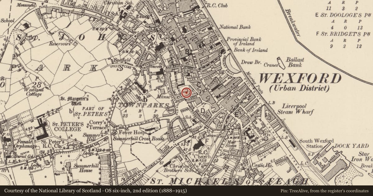 Ordnance Survey six-inch map, 2nd edition (1888–1915) covering the location of Graveyard, Wexford, with a pin at the register's coordinates