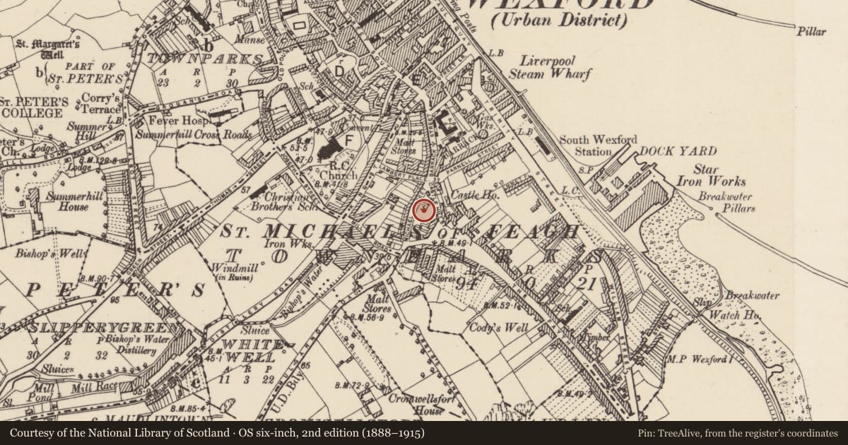 Ordnance Survey six-inch map, 2nd edition (1888–1915) covering the location of Graveyard, Townparks (St. Michael's of Feagh Par.), County Wexford, with a pin at the register's coordinates