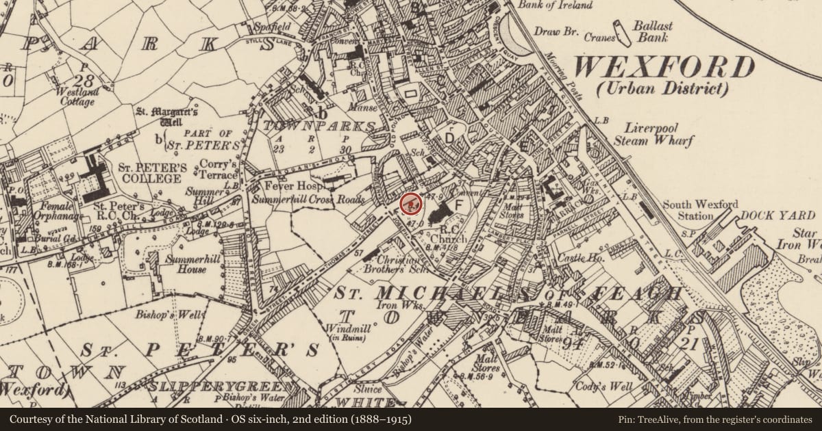 Ordnance Survey six-inch map, 2nd edition (1888–1915) covering the location of Graveyard, Wexford, with a pin at the register's coordinates