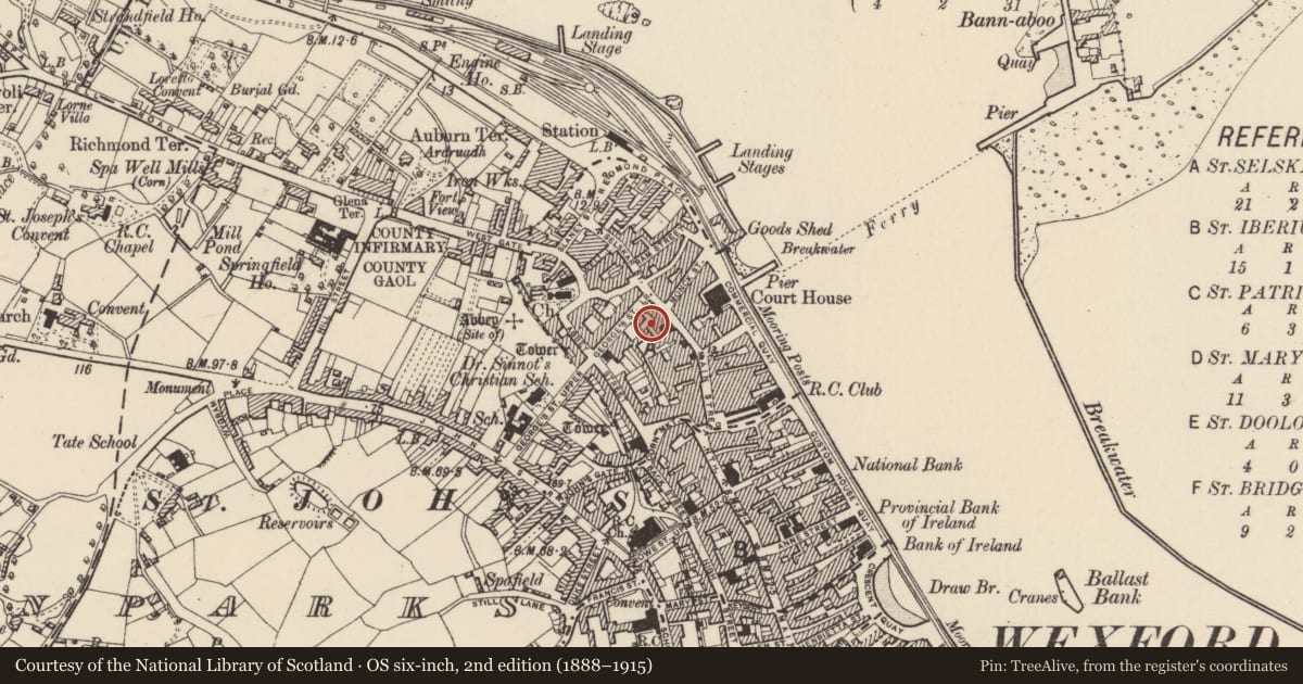 Ordnance Survey six-inch map, 2nd edition (1888–1915) covering the location of House - medieval, Wexford, with a pin at the register's coordinates