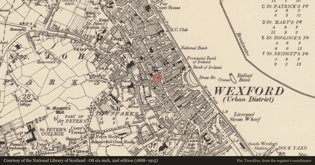 Ordnance Survey six-inch map, 2nd edition (1888–1915) covering the location of Excavation - miscellaneous, Wexford, with a pin at the register's coordinates