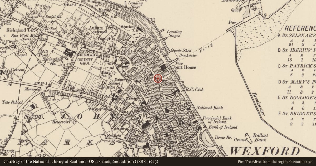 Ordnance Survey six-inch map, 2nd edition (1888–1915) covering the location of Sea wall, Wexford, with a pin at the register's coordinates