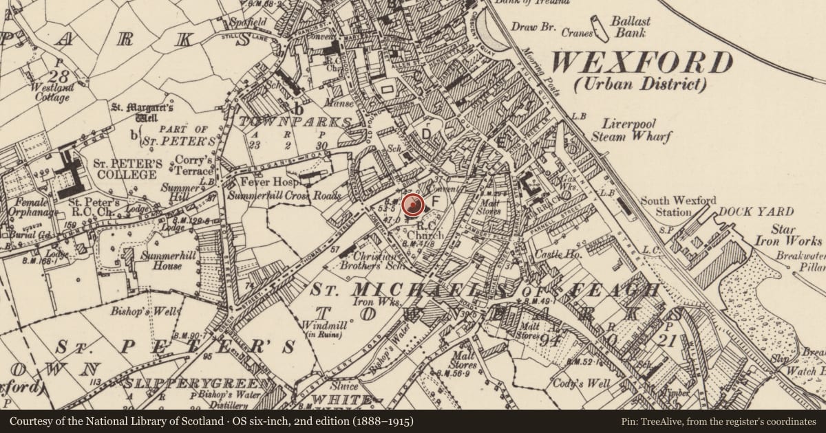 Ordnance Survey six-inch map, 2nd edition (1888–1915) covering the location of Architectural feature, Wexford, with a pin at the register's coordinates