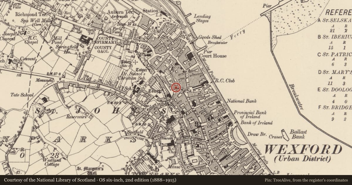 Ordnance Survey six-inch map, 2nd edition (1888–1915) covering the location of House - medieval, Wexford, with a pin at the register's coordinates