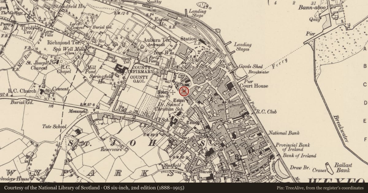 Ordnance Survey six-inch map, 2nd edition (1888–1915) covering the location of Building, Wexford, with a pin at the register's coordinates
