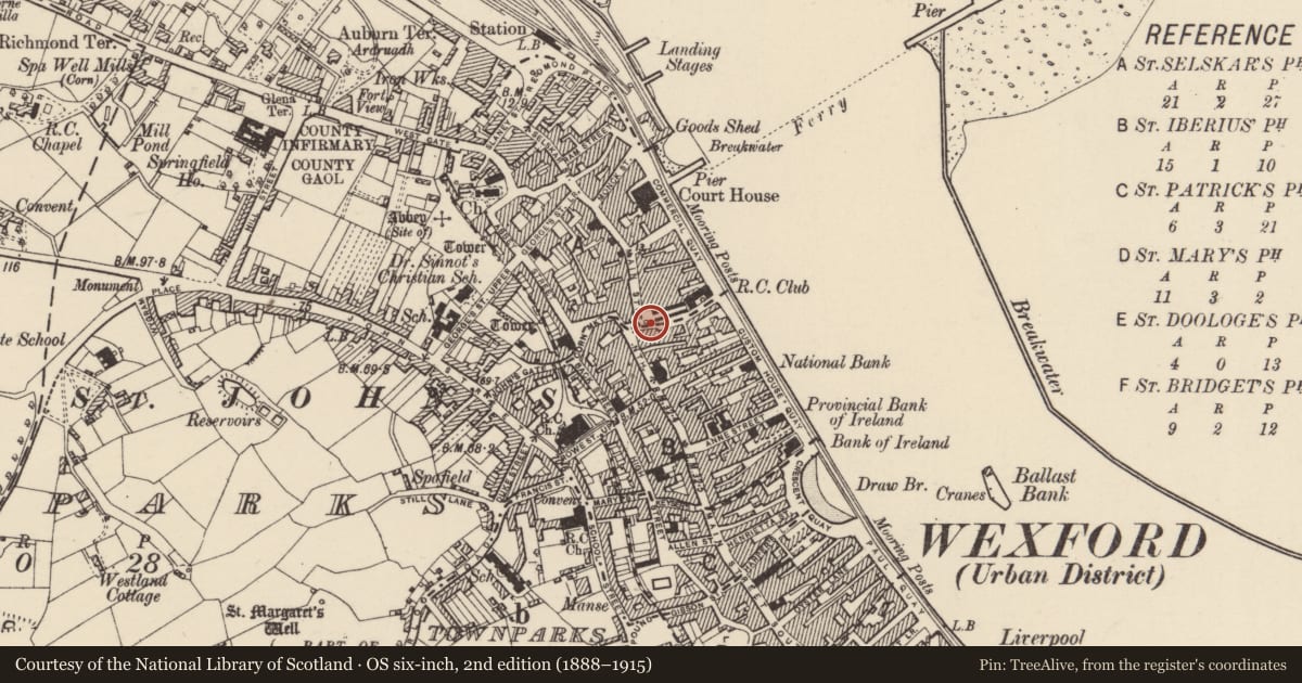 Ordnance Survey six-inch map, 2nd edition (1888–1915) covering the location of Bullring, Wexford, with a pin at the register's coordinates