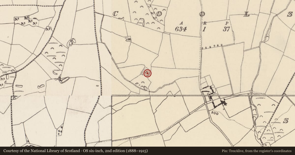Ordnance Survey six-inch map, 2nd edition (1888–1915) covering the location of Moated site, Cools, County Wexford, with a pin at the register's coordinates