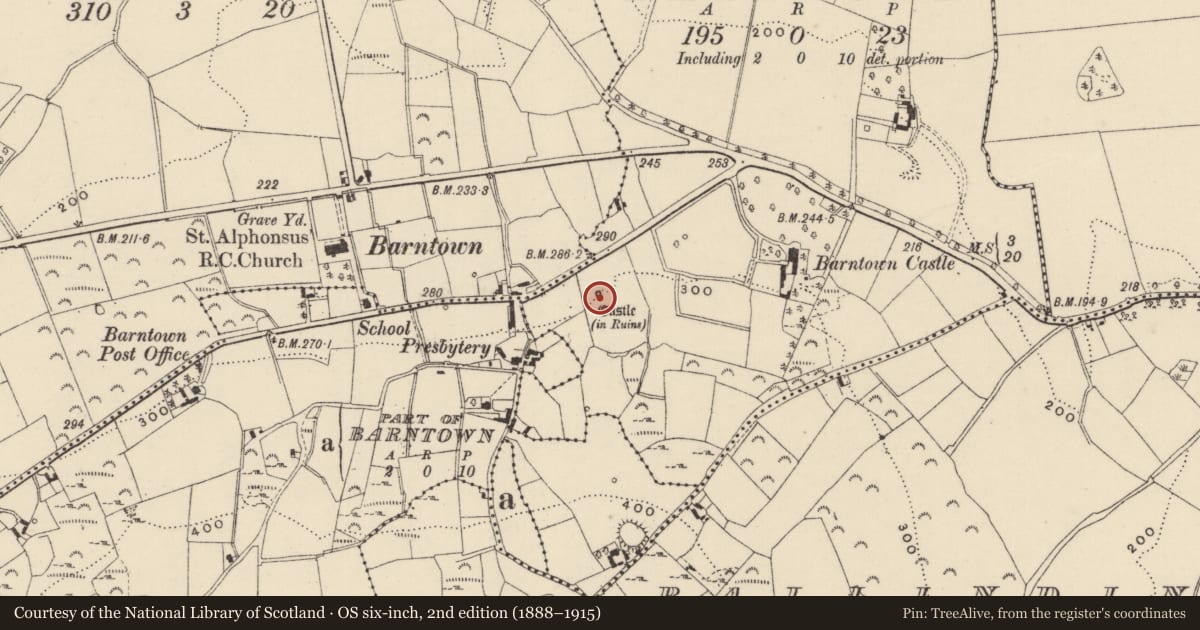 Ordnance Survey six-inch map, 2nd edition (1888–1915) covering the location of Castle - tower house, Barntown, County Wexford, with a pin at the register's coordinates