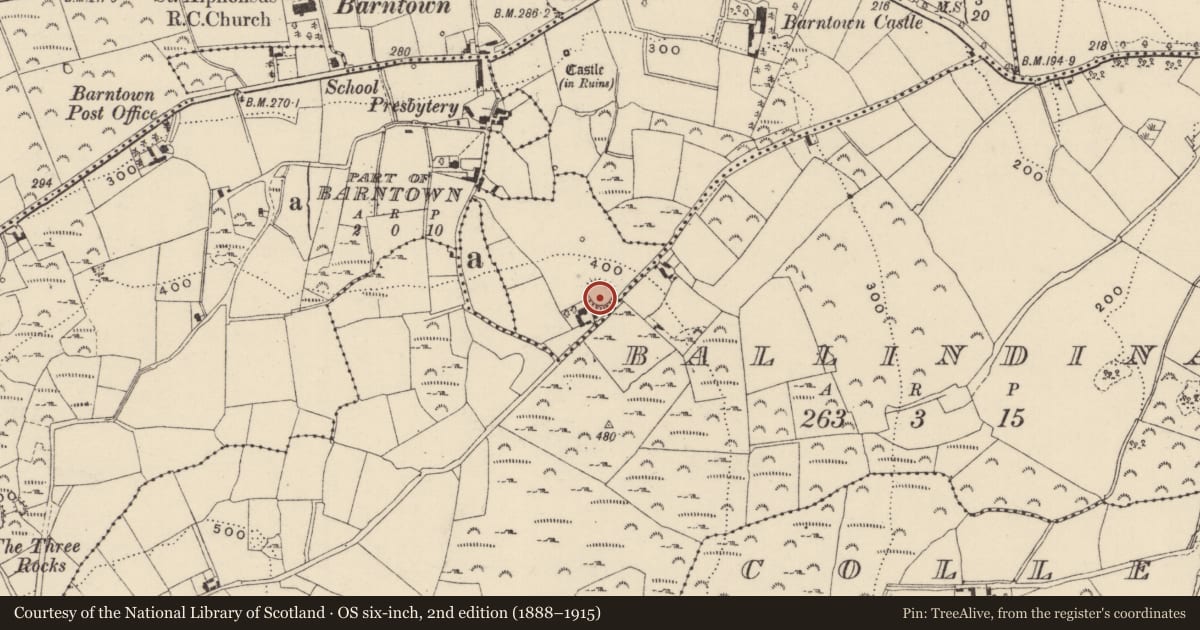 Ordnance Survey six-inch map, 2nd edition (1888–1915) covering the location of Ringfort - rath, Shelmaliere Commons, County Wexford, with a pin at the register's coordinates