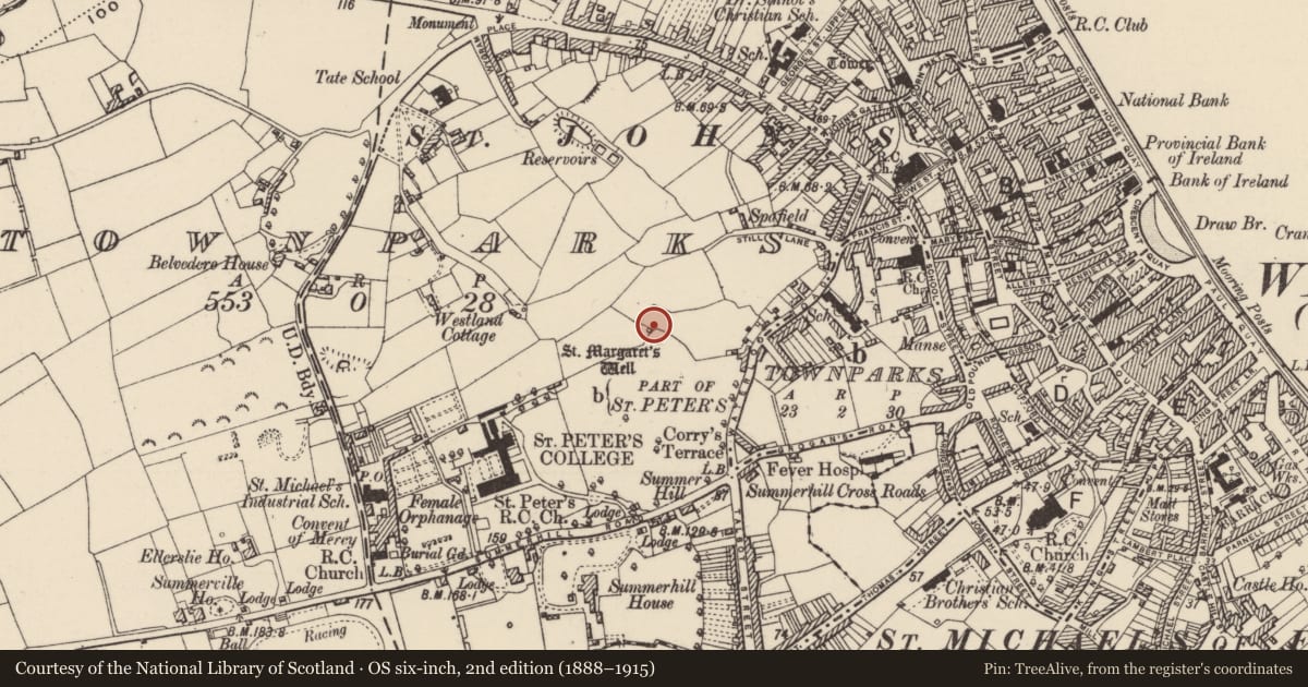 Ordnance Survey six-inch map, 2nd edition (1888–1915) covering the location of Ritual site - holy well, Townparks (St. John's Par.), County Wexford, with a pin at the register's coordinates