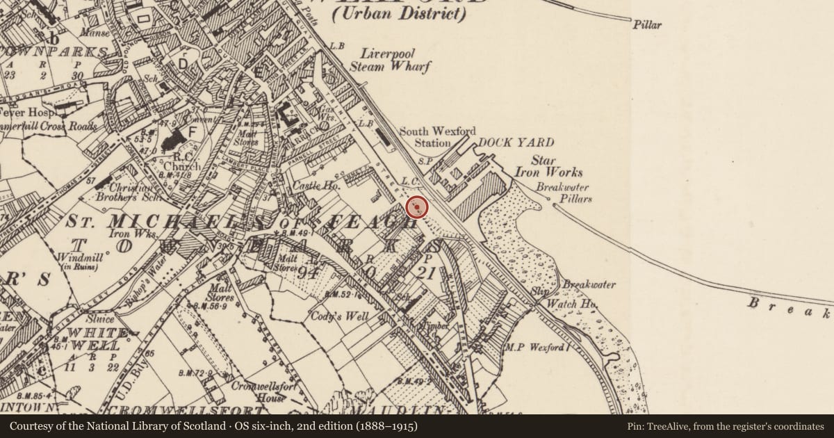 Ordnance Survey six-inch map, 2nd edition (1888–1915) covering the location of Ritual site - holy well, Townparks (St. Michael's of Feagh Par.), County Wexford, with a pin at the register's coordinates