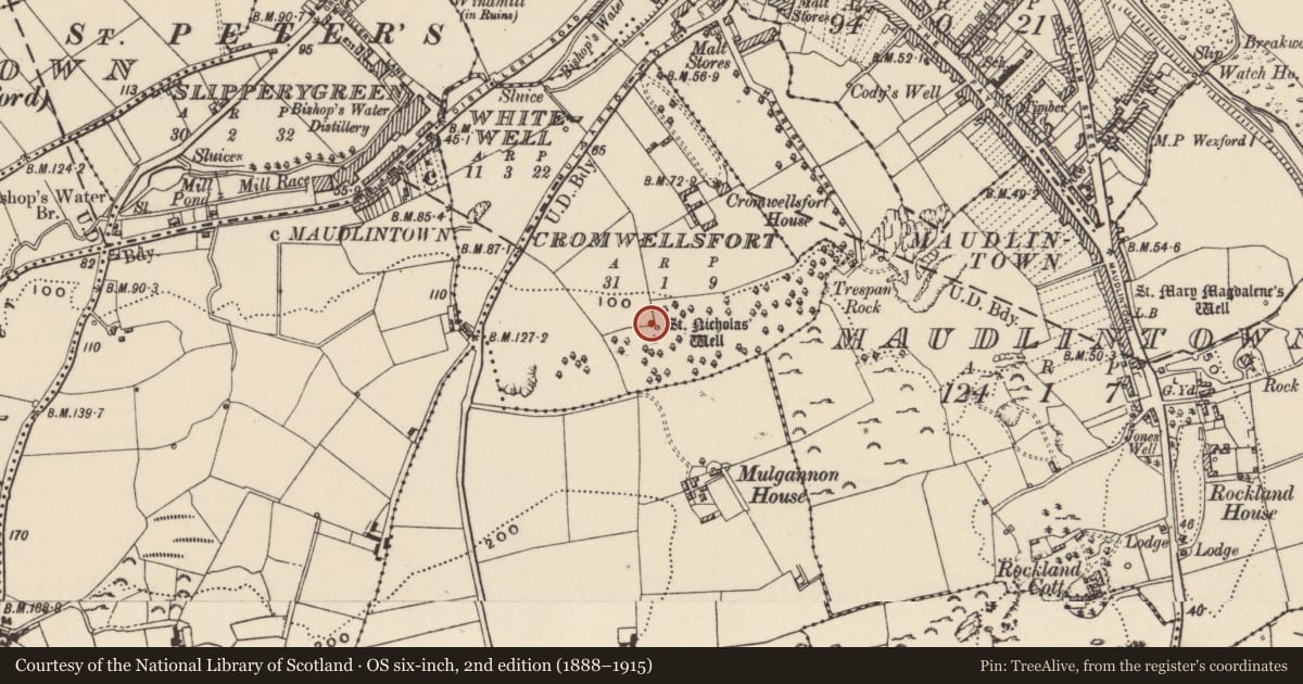 Ordnance Survey six-inch map, 2nd edition (1888–1915) covering the location of Ritual site - holy well, Cromwells Fort, County Wexford, with a pin at the register's coordinates