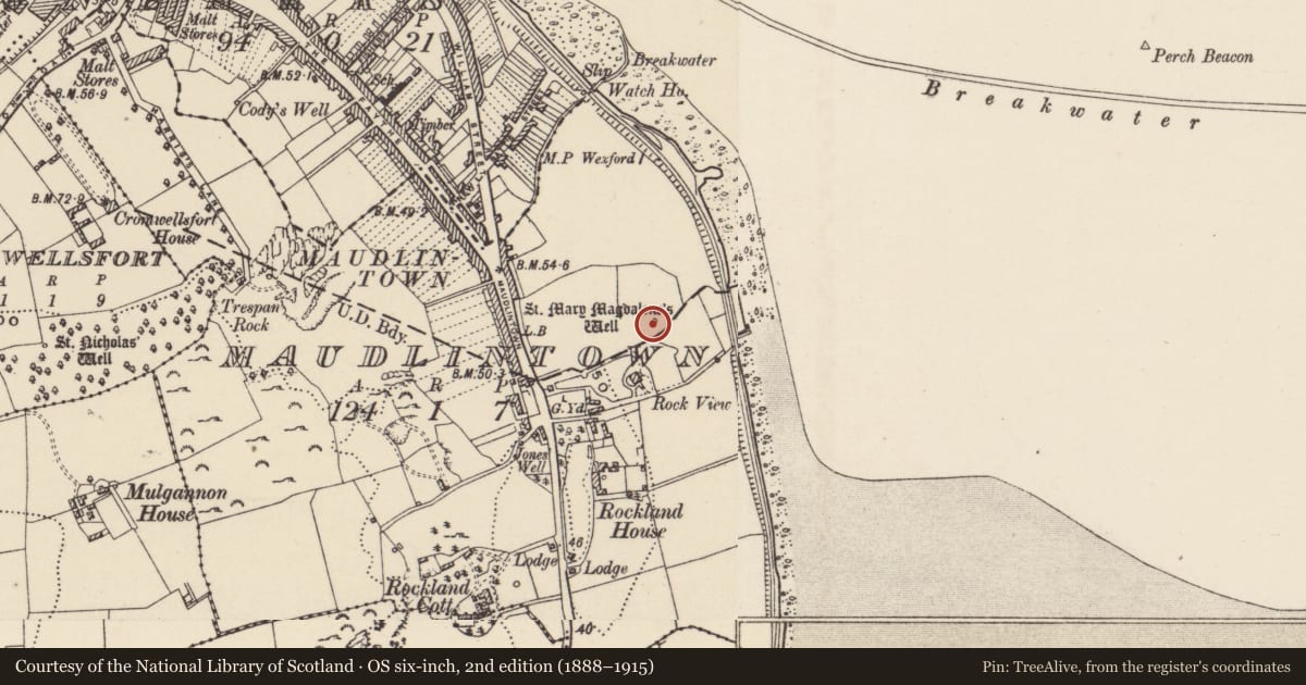 Ordnance Survey six-inch map, 2nd edition (1888–1915) covering the location of Ritual site - holy well, Maudlintown, County Wexford, with a pin at the register's coordinates