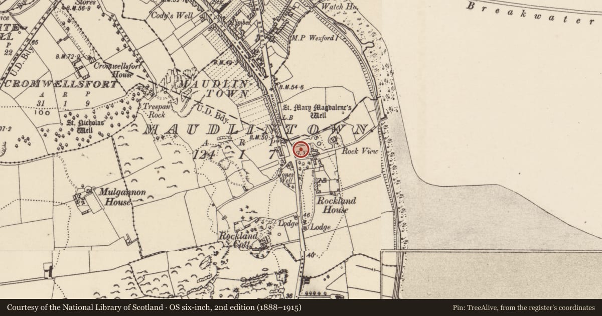 Ordnance Survey six-inch map, 2nd edition (1888–1915) covering the location of Church, Maudlintown, County Wexford, with a pin at the register's coordinates