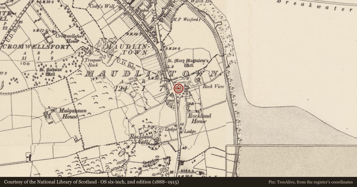 Ordnance Survey six-inch map, 2nd edition (1888–1915) covering the location of Graveyard, Maudlintown, County Wexford, with a pin at the register's coordinates
