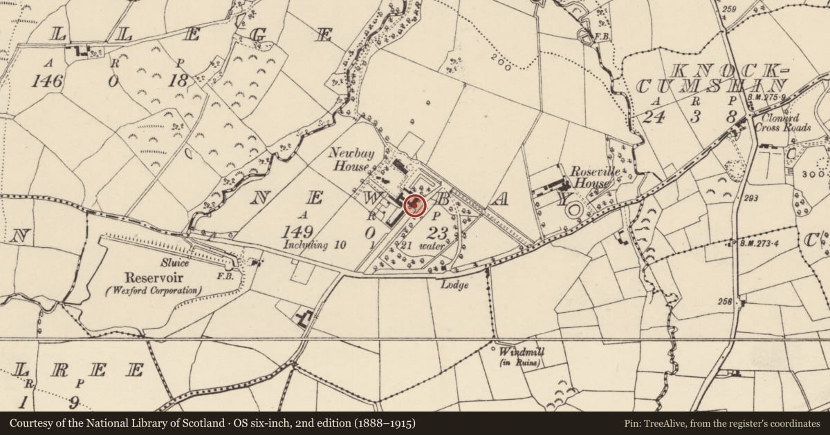 Ordnance Survey six-inch map, 2nd edition (1888–1915) covering the location of Castle - unclassified, Newbay, County Wexford, with a pin at the register's coordinates