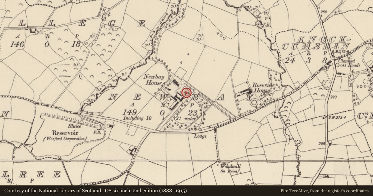 Ordnance Survey six-inch map, 2nd edition (1888–1915) covering the location of Moated site, Newbay, County Wexford, with a pin at the register's coordinates