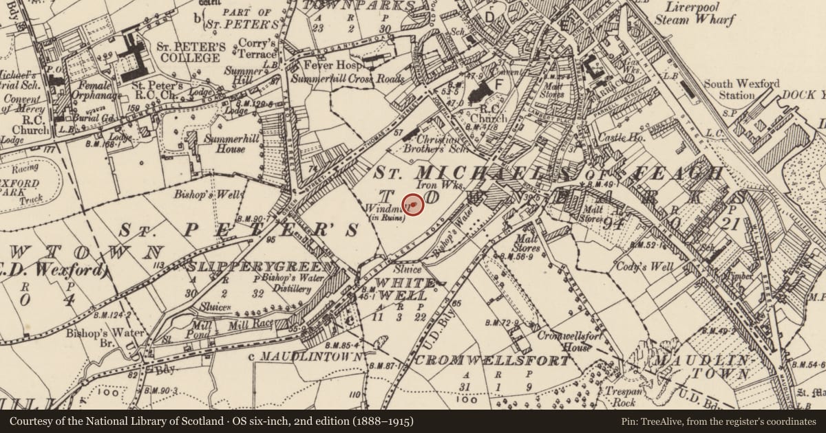 Ordnance Survey six-inch map, 2nd edition (1888–1915) covering the location of Windmill, Townparks (St. Michael's of Feagh Par.), County Wexford, with a pin at the register's coordinates