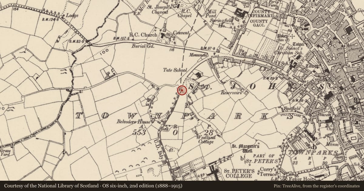 Ordnance Survey six-inch map, 2nd edition (1888–1915) covering the location of Windmill, Townparks (St. John's Par.), County Wexford, with a pin at the register's coordinates