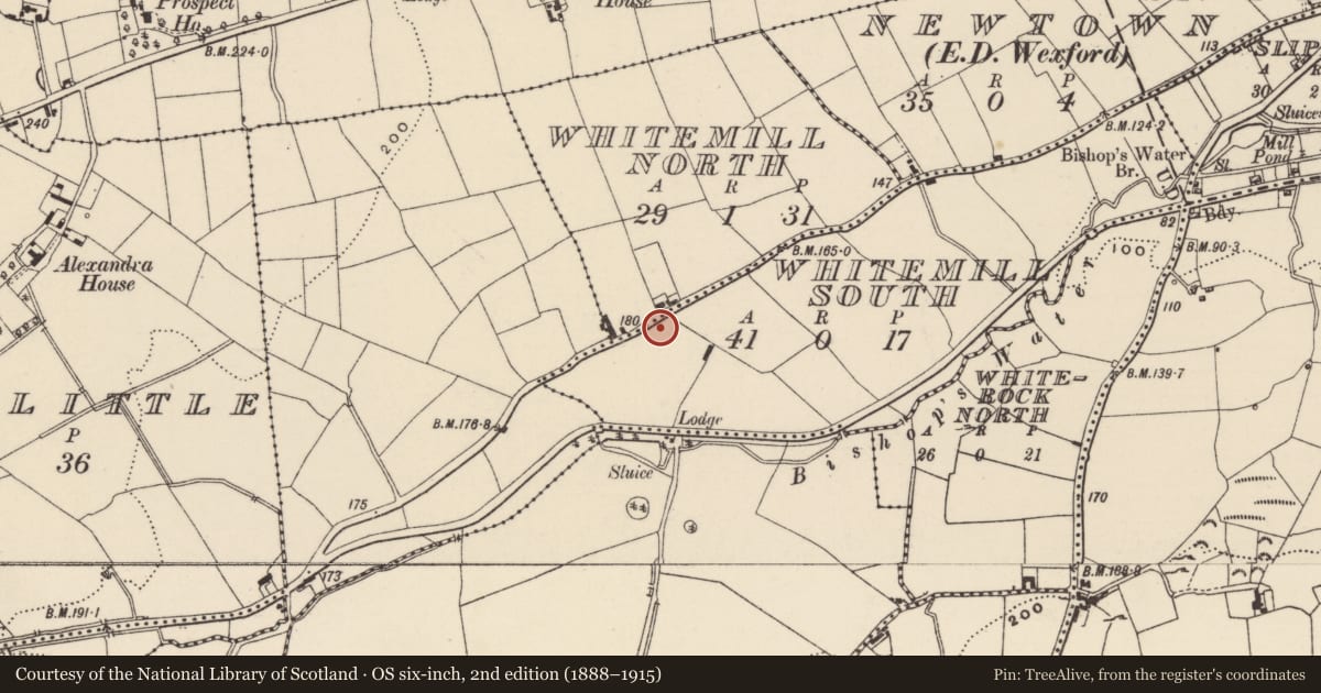 Ordnance Survey six-inch map, 2nd edition (1888–1915) covering the location of Windmill, Whitemill South, County Wexford, with a pin at the register's coordinates