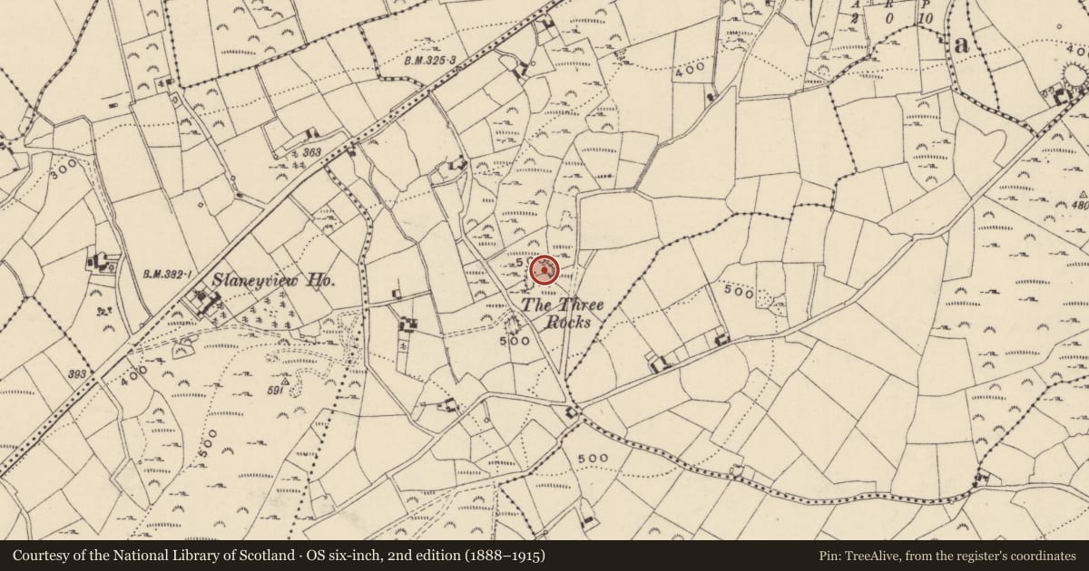 Ordnance Survey six-inch map, 2nd edition (1888–1915) covering the location of Monumental structure, Shelmaliere Commons, County Wexford, with a pin at the register's coordinates