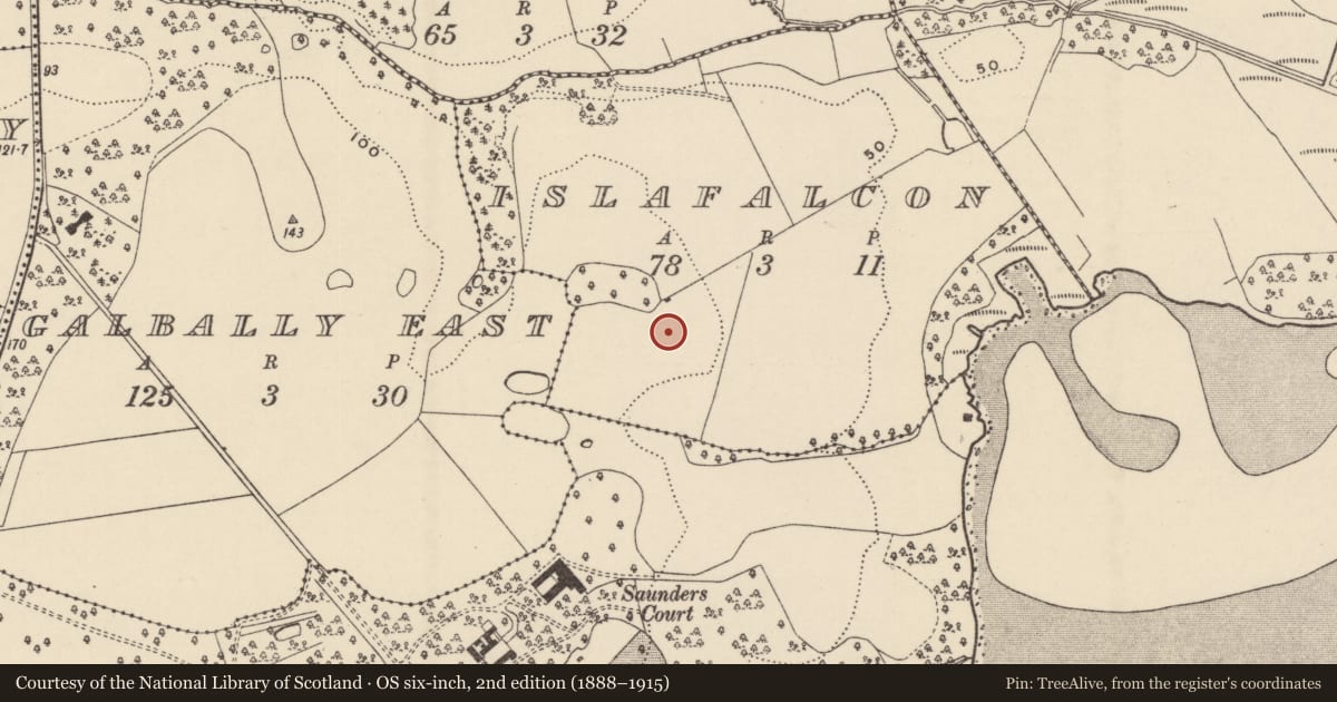 Ordnance Survey six-inch map, 2nd edition (1888–1915) covering the location of Ringfort - rath, Islafalcon, County Wexford, with a pin at the register's coordinates