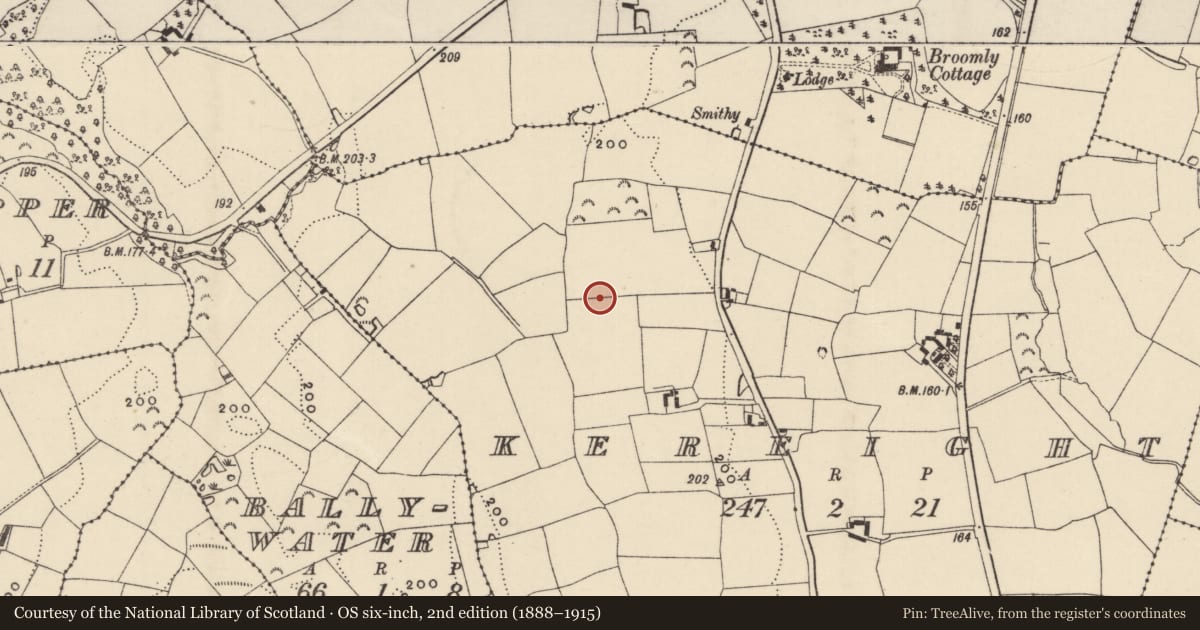 Ordnance Survey six-inch map, 2nd edition (1888–1915) covering the location of Ringfort - rath, Kereight, County Wexford, with a pin at the register's coordinates
