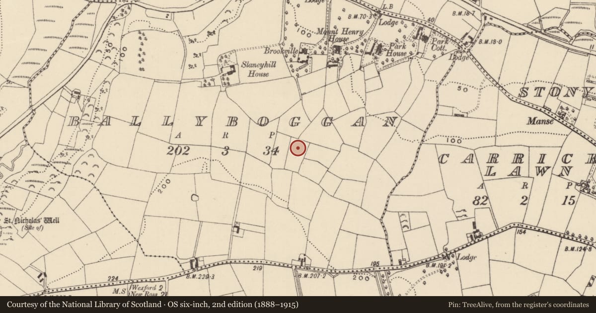 Ordnance Survey six-inch map, 2nd edition (1888–1915) covering the location of Burnt mound, Ballyboggan, County Wexford, with a pin at the register's coordinates
