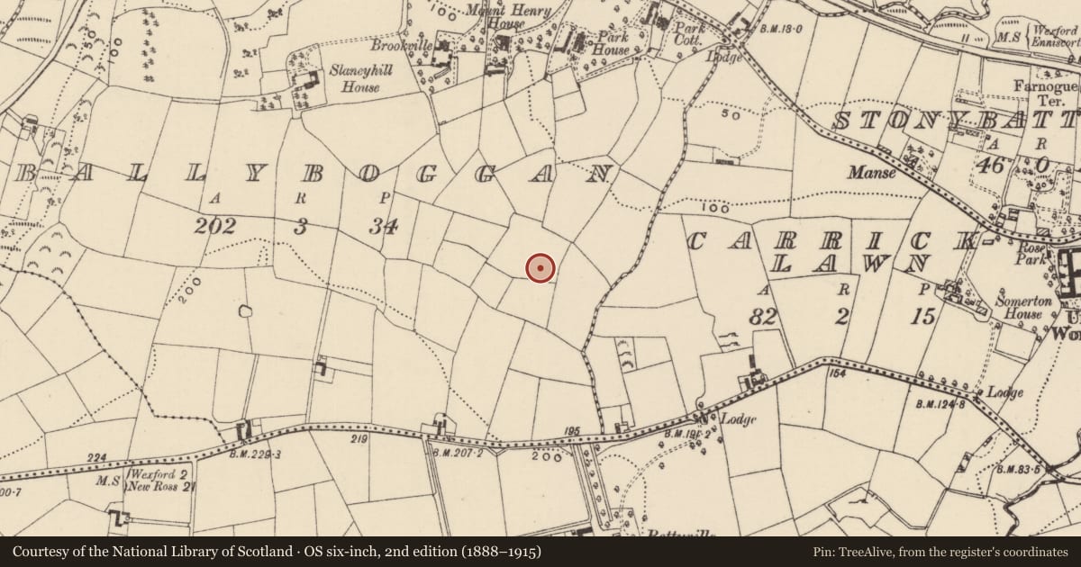 Ordnance Survey six-inch map, 2nd edition (1888–1915) covering the location of Burnt mound, Ballyboggan, County Wexford, with a pin at the register's coordinates