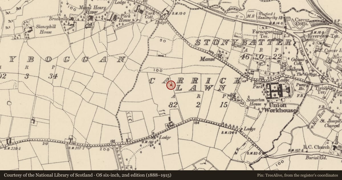Ordnance Survey six-inch map, 2nd edition (1888–1915) covering the location of Fulacht fia, Carricklawn, County Wexford, with a pin at the register's coordinates