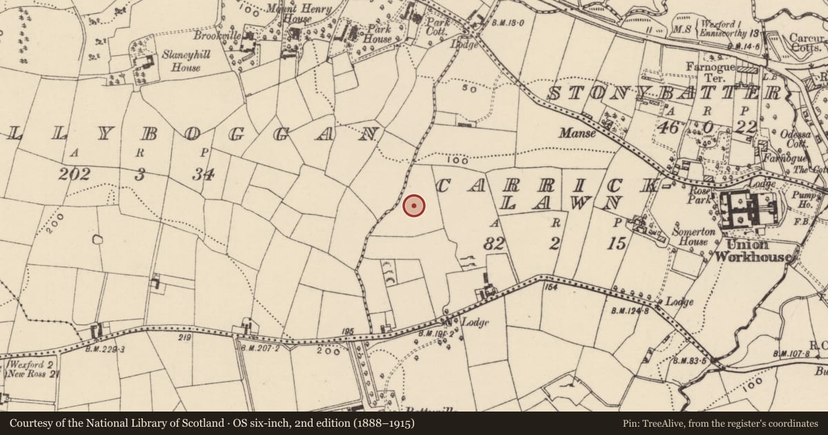 Ordnance Survey six-inch map, 2nd edition (1888–1915) covering the location of Fulacht fia, Carricklawn, County Wexford, with a pin at the register's coordinates
