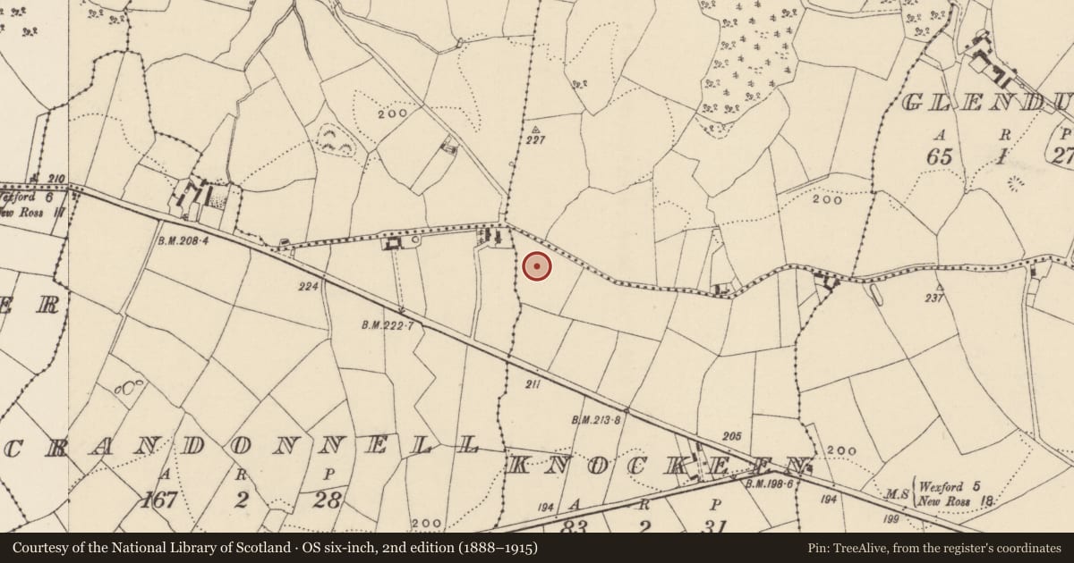 Ordnance Survey six-inch map, 2nd edition (1888–1915) covering the location of Fulacht fia, Knockeen, County Wexford, with a pin at the register's coordinates