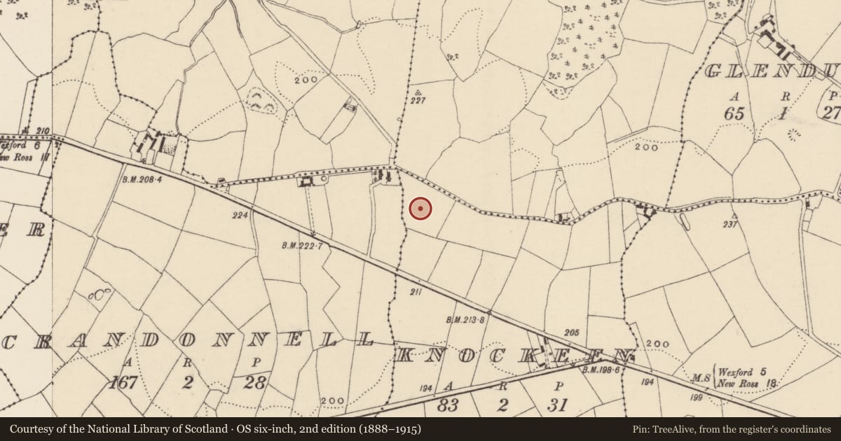 Ordnance Survey six-inch map, 2nd edition (1888–1915) covering the location of Fulacht fia, Knockeen, County Wexford, with a pin at the register's coordinates