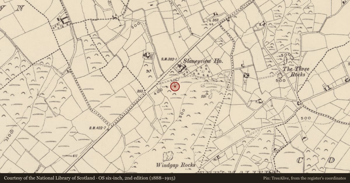 Ordnance Survey six-inch map, 2nd edition (1888–1915) covering the location of Battlefield, County Wexford, with a pin at the register's coordinates