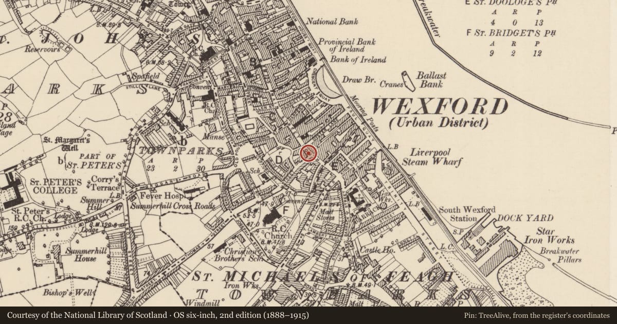 Ordnance Survey six-inch map, 2nd edition (1888–1915) covering the location of Battlefield, County Wexford, with a pin at the register's coordinates