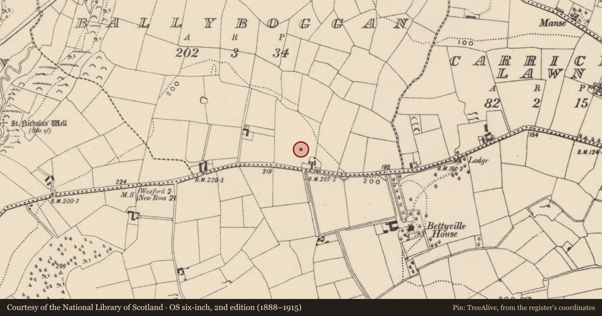 Ordnance Survey six-inch map, 2nd edition (1888–1915) covering the location of Excavation - miscellaneous, Ballyboggan, County Wexford, with a pin at the register's coordinates
