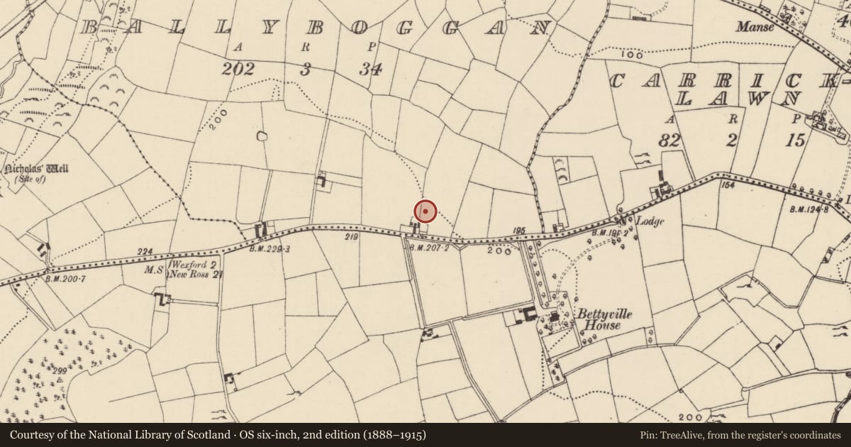 Ordnance Survey six-inch map, 2nd edition (1888–1915) covering the location of Burnt mound, Ballyboggan, County Wexford, with a pin at the register's coordinates