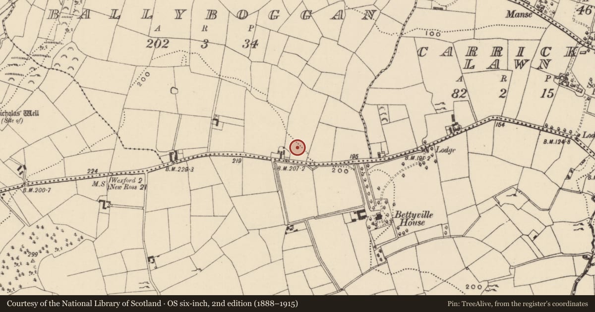 Ordnance Survey six-inch map, 2nd edition (1888–1915) covering the location of Burnt mound, Ballyboggan, County Wexford, with a pin at the register's coordinates
