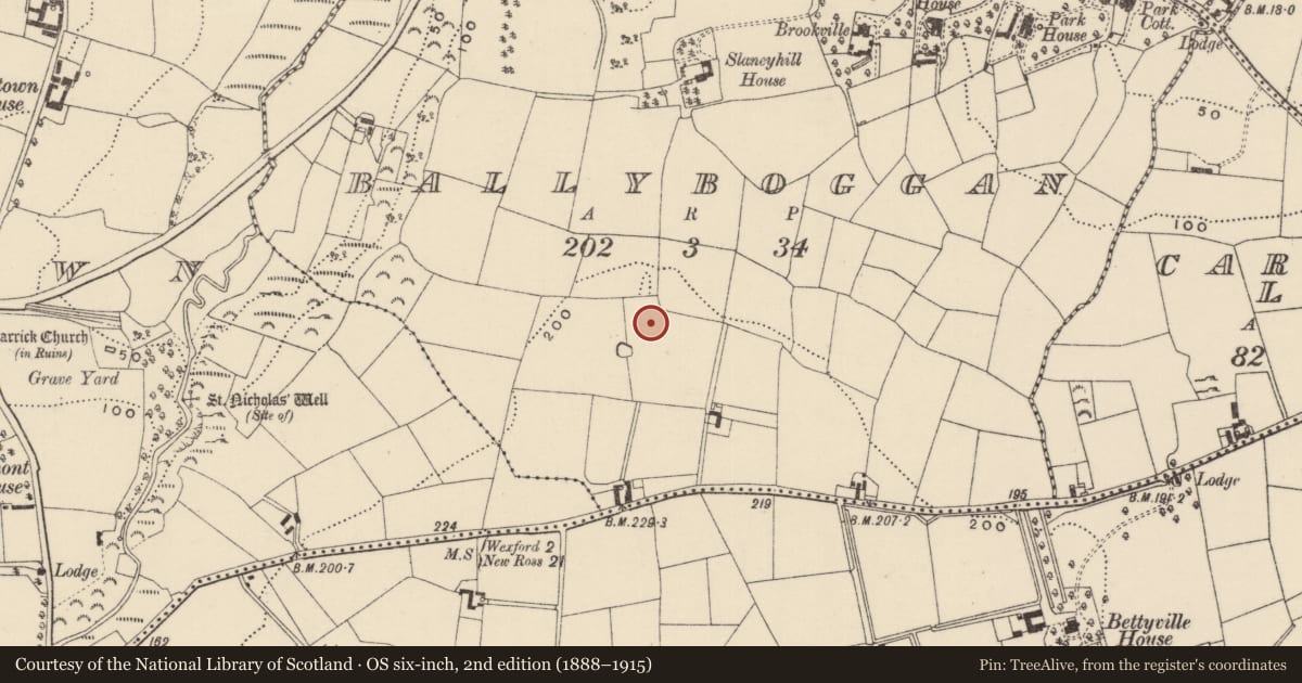 Ordnance Survey six-inch map, 2nd edition (1888–1915) covering the location of Fulacht fia, Ballyboggan, County Wexford, with a pin at the register's coordinates
