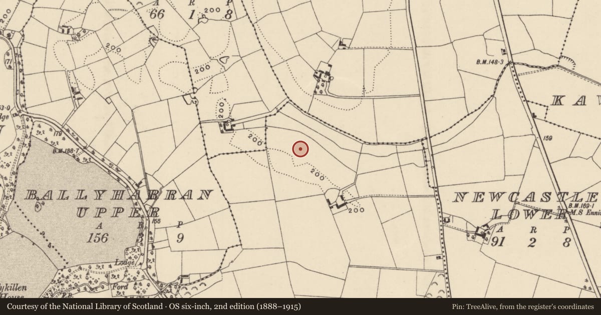 Ordnance Survey six-inch map, 2nd edition (1888–1915) covering the location of Enclosure, Newcastle Upper, County Wexford, with a pin at the register's coordinates