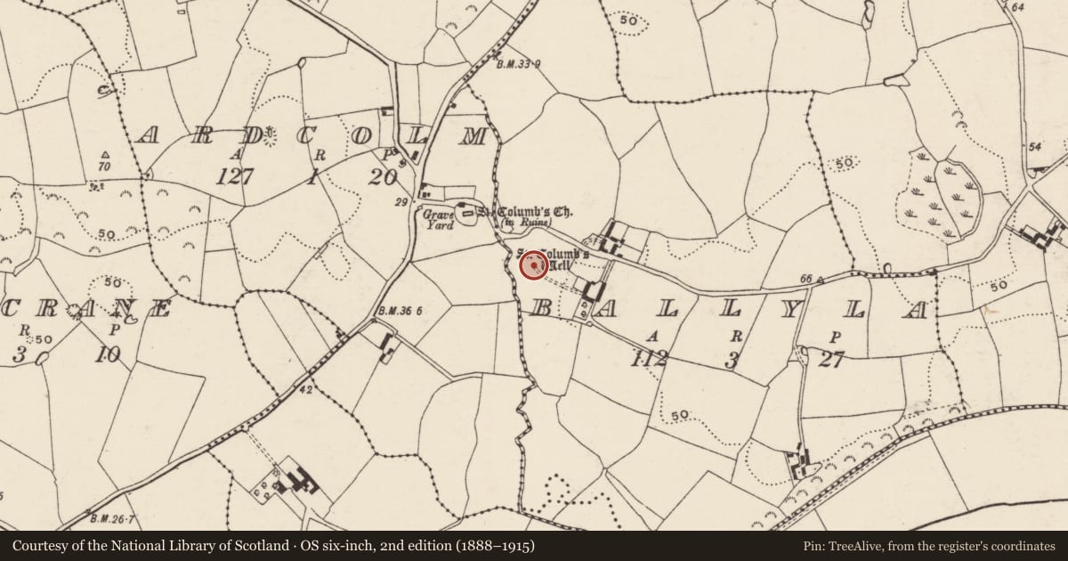 Ordnance Survey six-inch map, 2nd edition (1888–1915) covering the location of Ritual site - holy well, Ballyla, County Wexford, with a pin at the register's coordinates