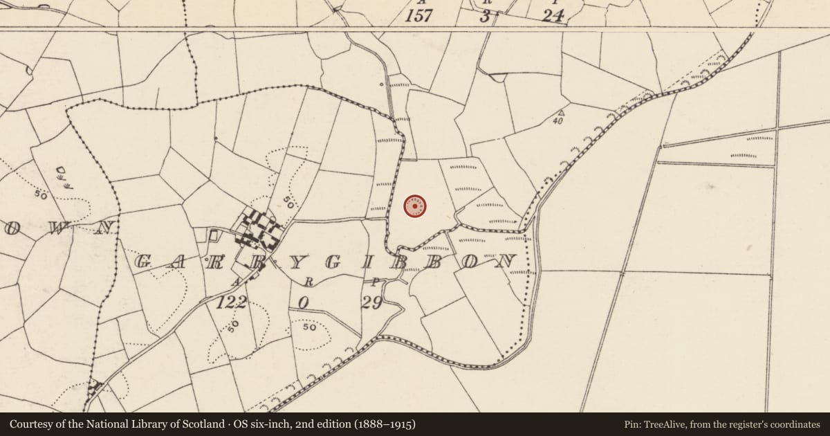 Ordnance Survey six-inch map, 2nd edition (1888–1915) covering the location of Castle - motte, Ballinamorragh, County Wexford, with a pin at the register's coordinates