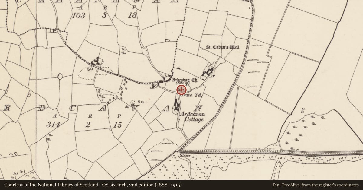 Ordnance Survey six-inch map, 2nd edition (1888–1915) covering the location of Church, Ardcavan, County Wexford, with a pin at the register's coordinates