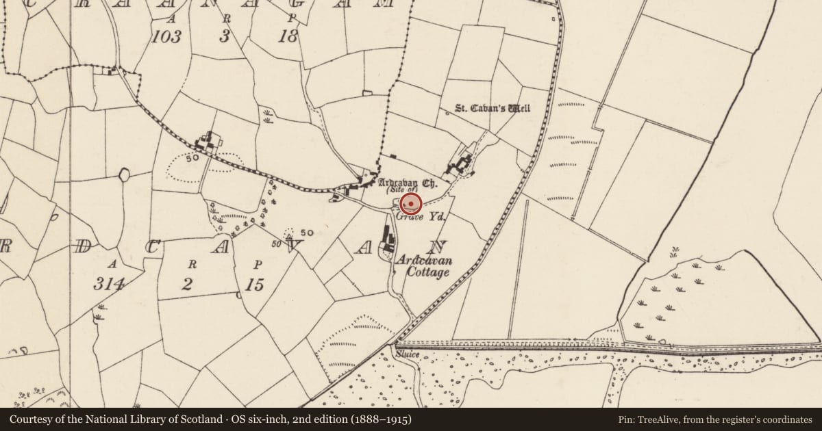 Ordnance Survey six-inch map, 2nd edition (1888–1915) covering the location of Graveyard, Ardcavan, County Wexford, with a pin at the register's coordinates