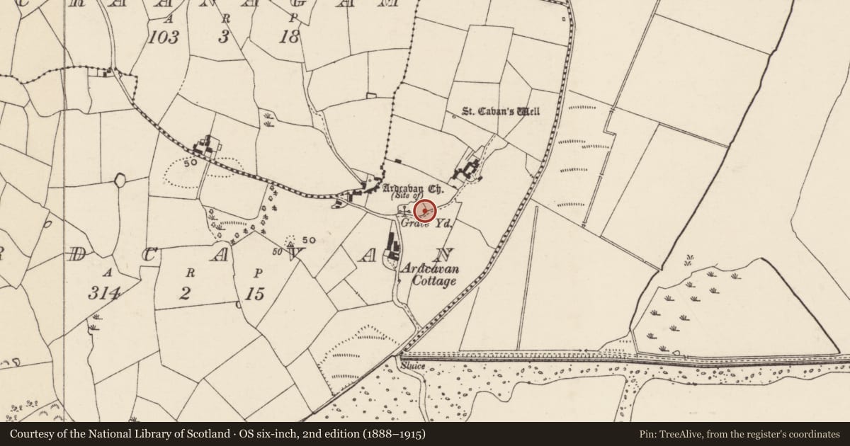 Ordnance Survey six-inch map, 2nd edition (1888–1915) covering the location of Cross-slab, Ardcavan, County Wexford, with a pin at the register's coordinates