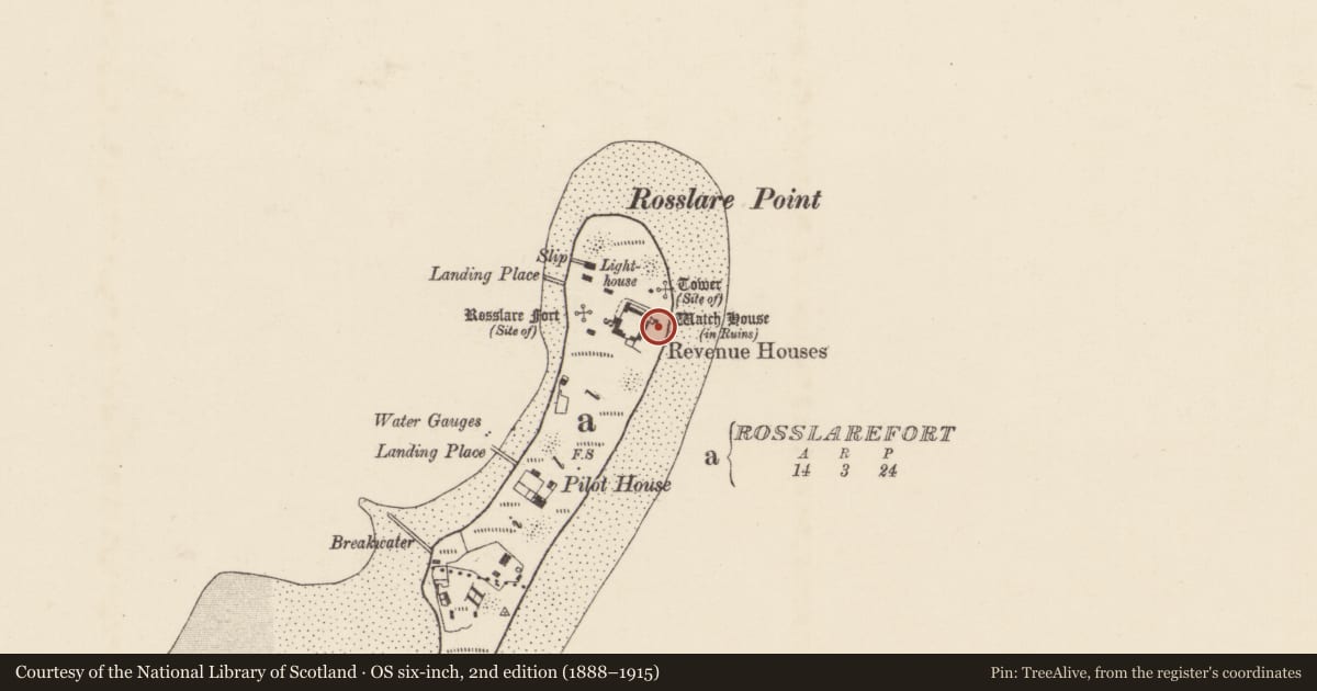 Ordnance Survey six-inch map, 2nd edition (1888–1915) covering the location of Watchtower, Rosslarefort, County Wexford, with a pin at the register's coordinates