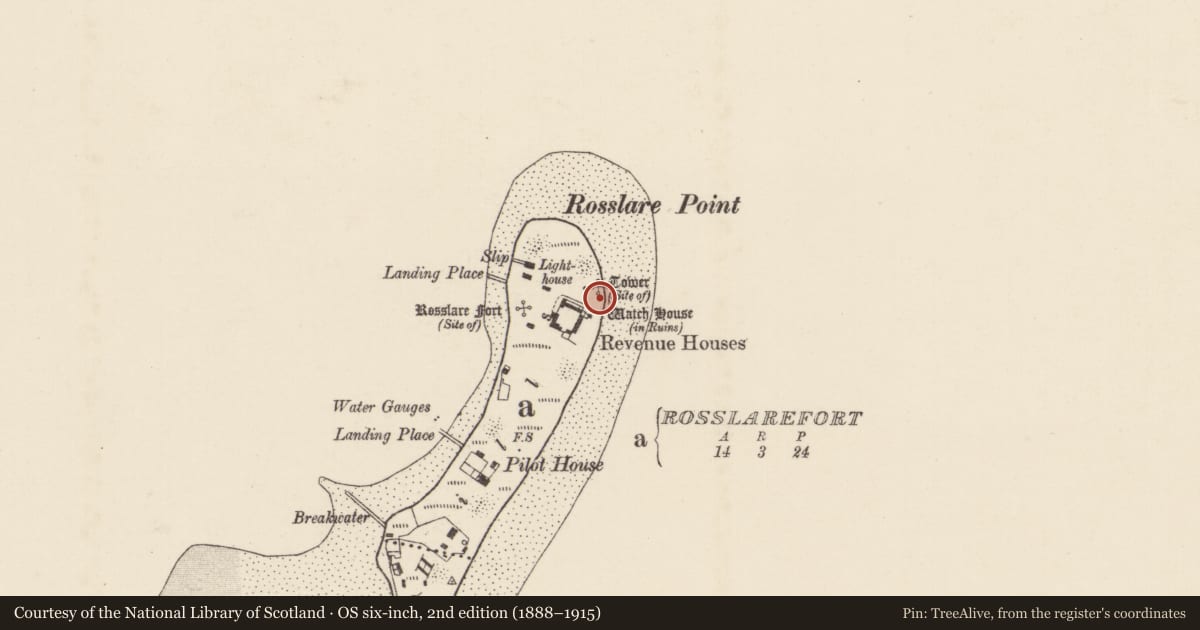 Ordnance Survey six-inch map, 2nd edition (1888–1915) covering the location of Signal tower, Rosslarefort, County Wexford, with a pin at the register's coordinates