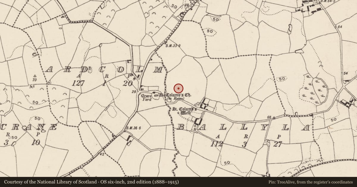 Ordnance Survey six-inch map, 2nd edition (1888–1915) covering the location of Enclosure - large enclosure, Ballyla, County Wexford, with a pin at the register's coordinates
