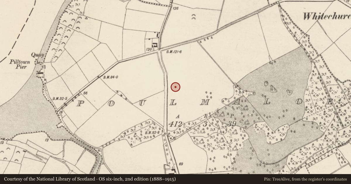 Ordnance Survey six-inch map, 2nd edition (1888–1915) covering the location of Standing stone, Poulmaloe, County Wexford, with a pin at the register's coordinates
